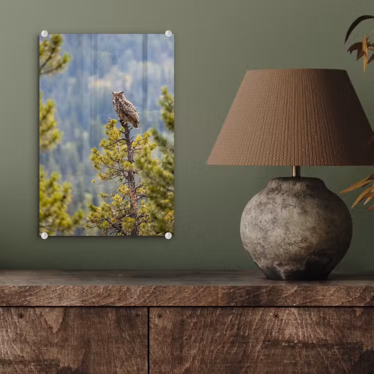 Glas schilderij - Uil - Oehoe - Bomen - Natuur — 4