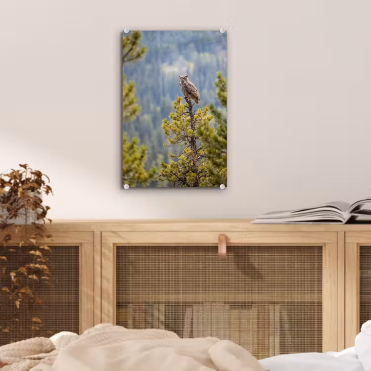 Glas schilderij - Uil - Oehoe - Bomen - Natuur — 5