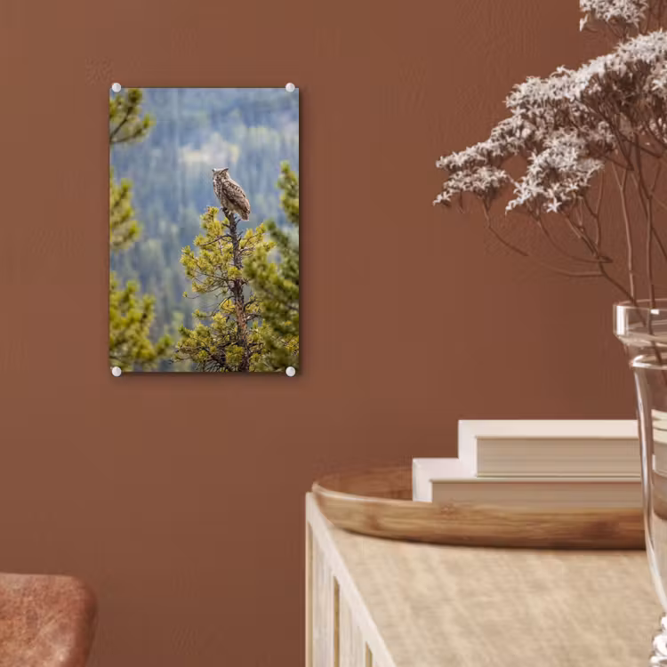 Glas schilderij - Uil - Oehoe - Bomen - Natuur — 6