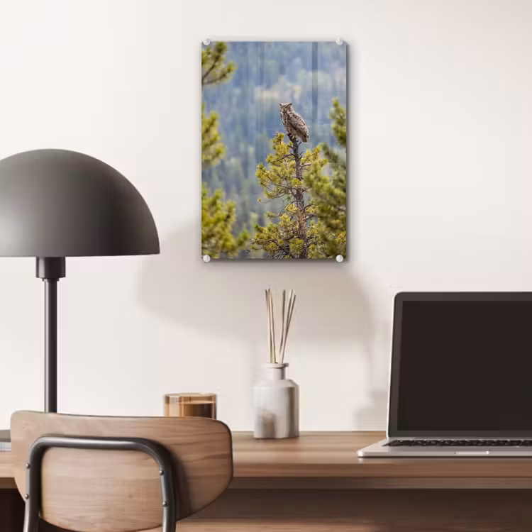 Glas schilderij - Uil - Oehoe - Bomen - Natuur — 7