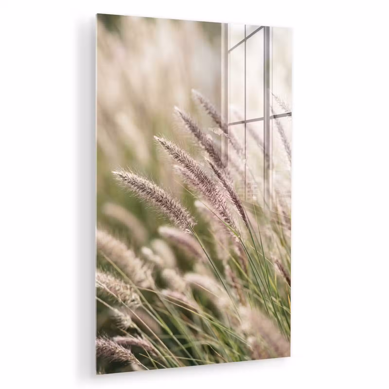 Glas schilderij - Gras - Close up - Groen — 1