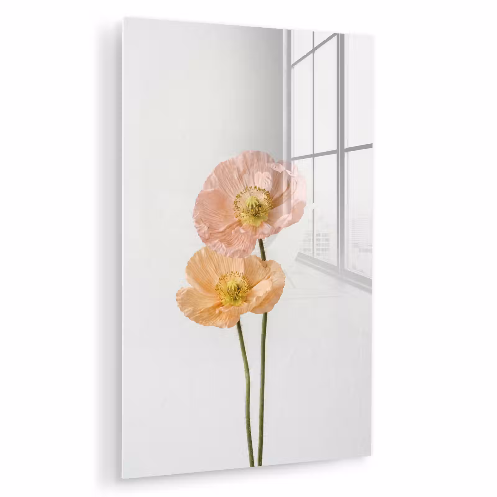 Glas schilderij - Papavers - Botanisch - Roze — 1