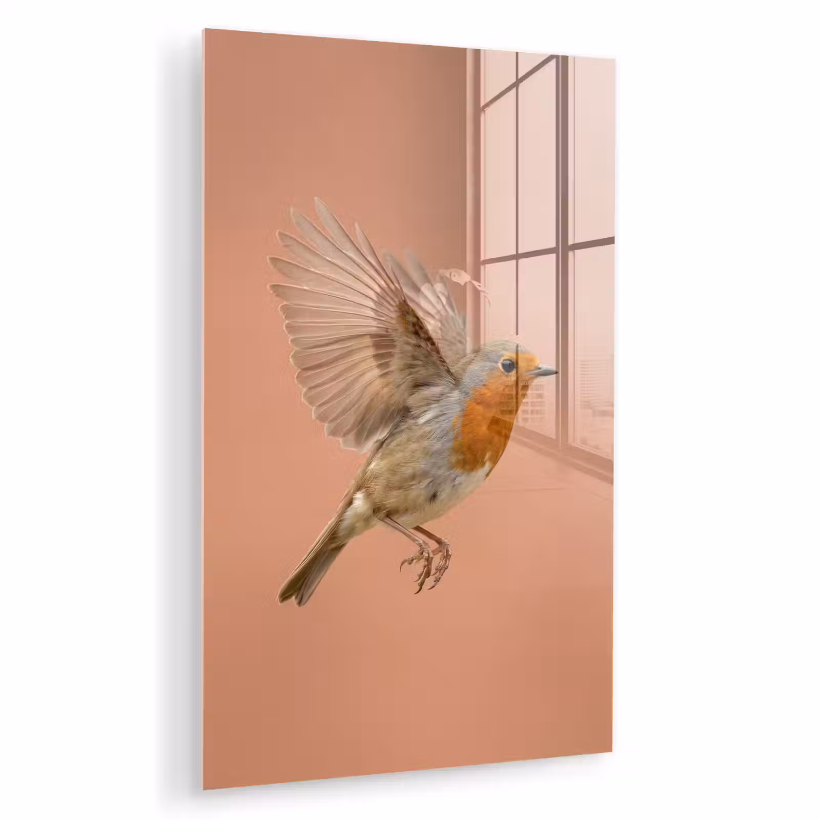Glas schilderij - Roodborst - Natuur - Roze — 1