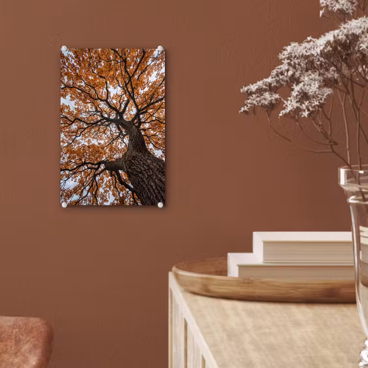 Glas schilderij - Boom - Bladerdak - Herfst - Oranje - Sfeervol — 6
