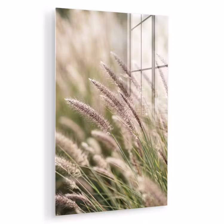 Glas schilderij - Gras - Close up - Groen — 1