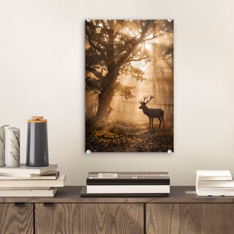 Glas schilderij - Hert - Bos - Mistig - Natuur - Goud — 2