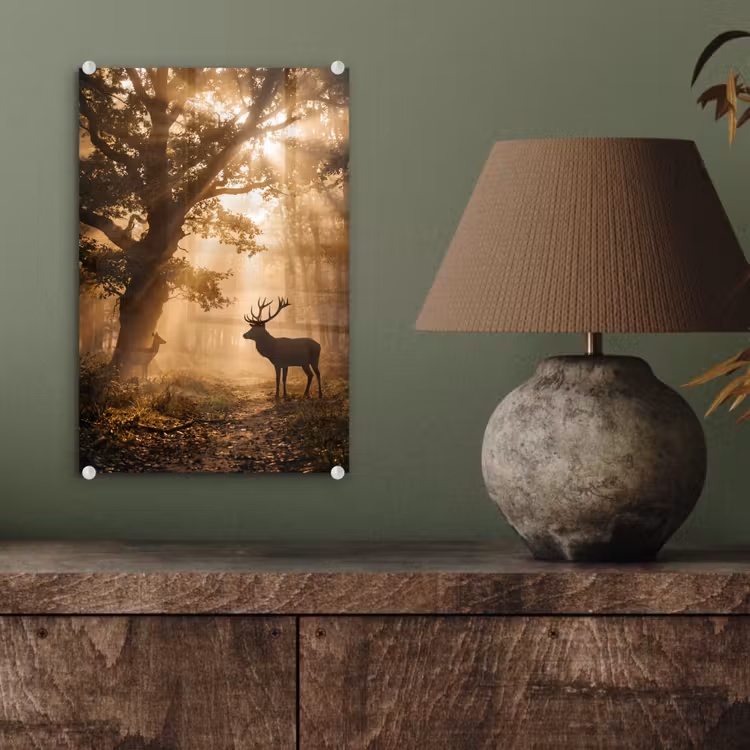 Glas schilderij - Hert - Bos - Mistig - Natuur - Goud — 4