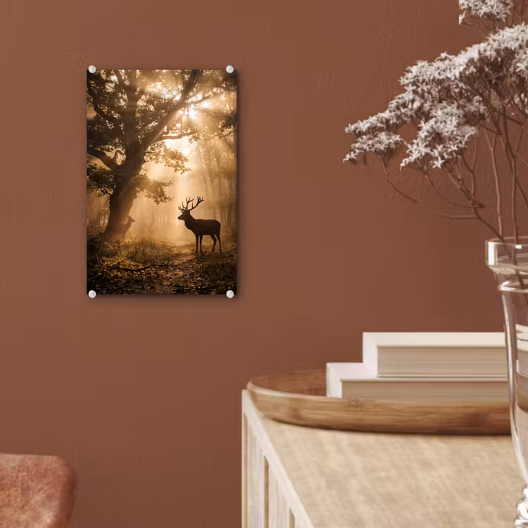 Glas schilderij - Hert - Bos - Mistig - Natuur - Goud — 6
