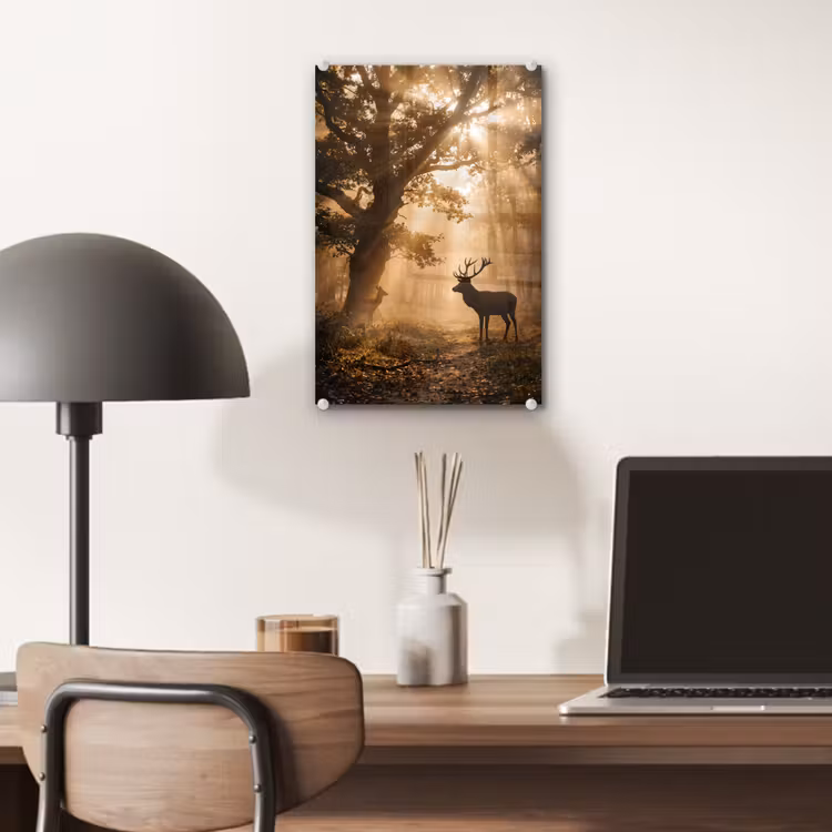 Glas schilderij - Hert - Bos - Mistig - Natuur - Goud — 7