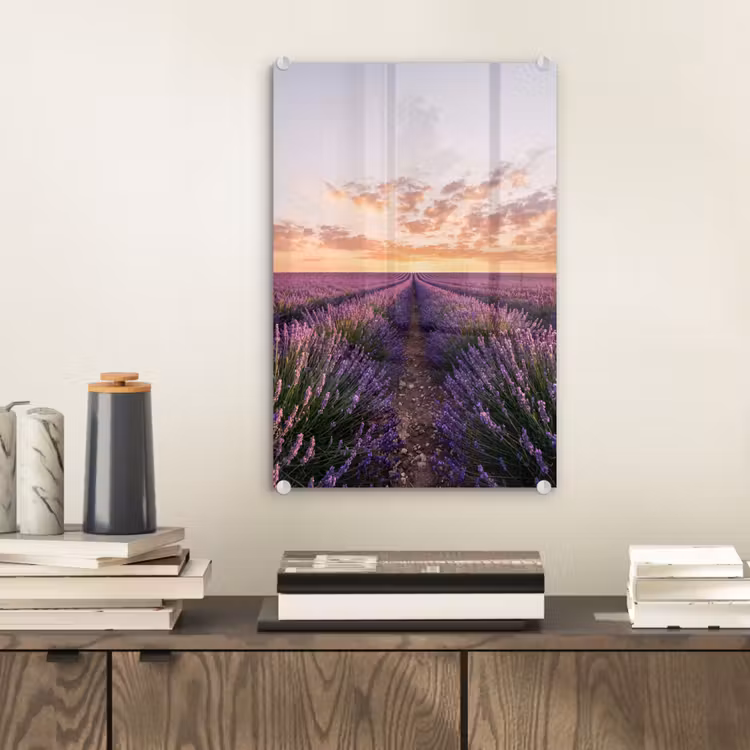Glas schilderij - Landschap - Lavendelveld - Paars — 2
