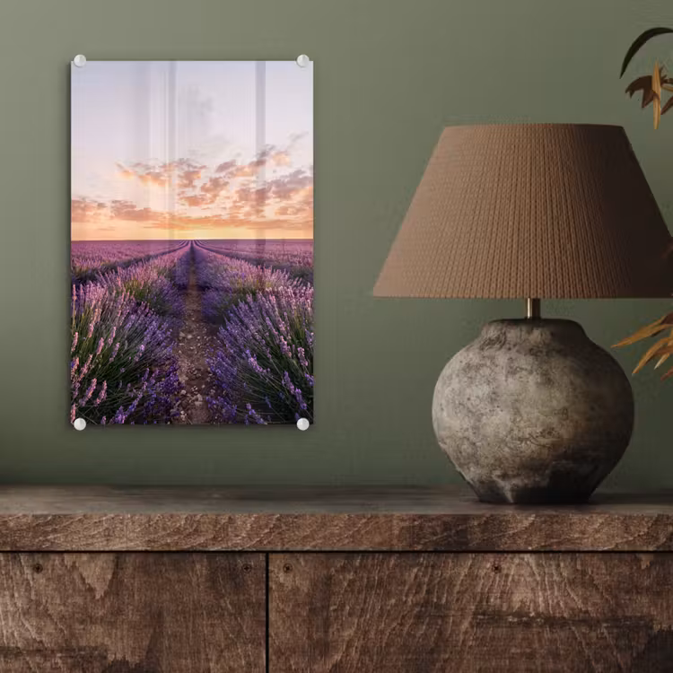 Glas schilderij - Landschap - Lavendelveld - Paars — 4