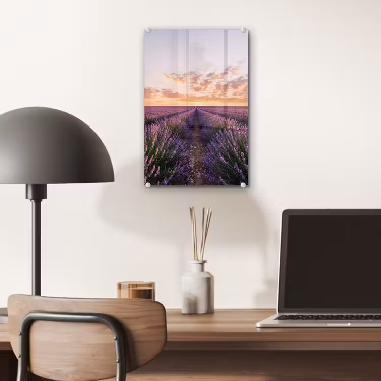 Glas schilderij - Landschap - Lavendelveld - Paars — 7