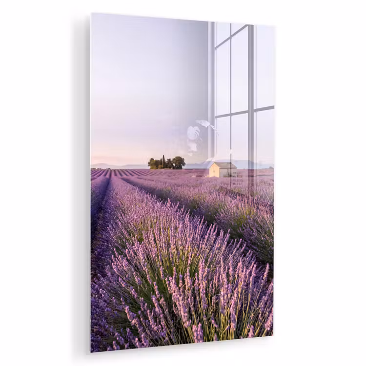 Glas schilderij - Lavendel - Landschap - Sereen - Paars — 1