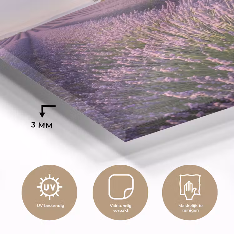 Glas schilderij - Lavendel - Landschap - Sereen - Paars — 3