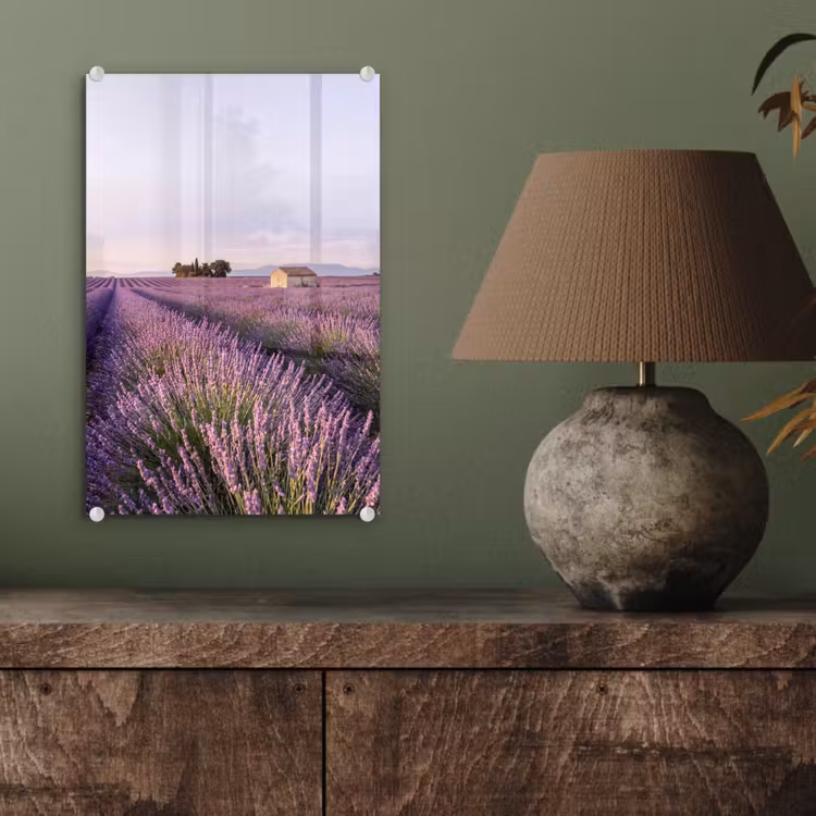 Glas schilderij - Lavendel - Landschap - Sereen - Paars — 4