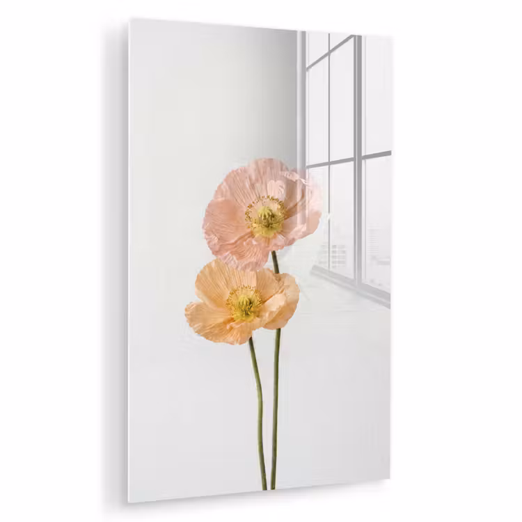 Glas schilderij - Papavers - Botanisch - Roze — 1