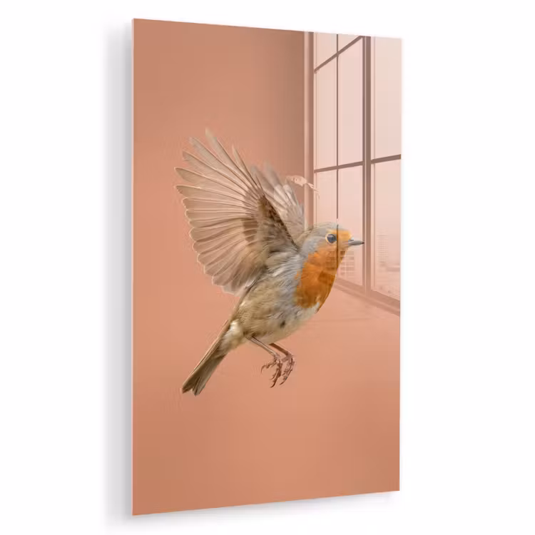 Glas schilderij - Roodborst - Natuur - Roze — 1