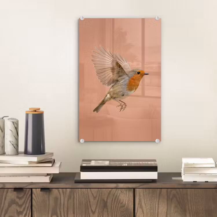 Glas schilderij - Roodborst - Natuur - Roze — 2