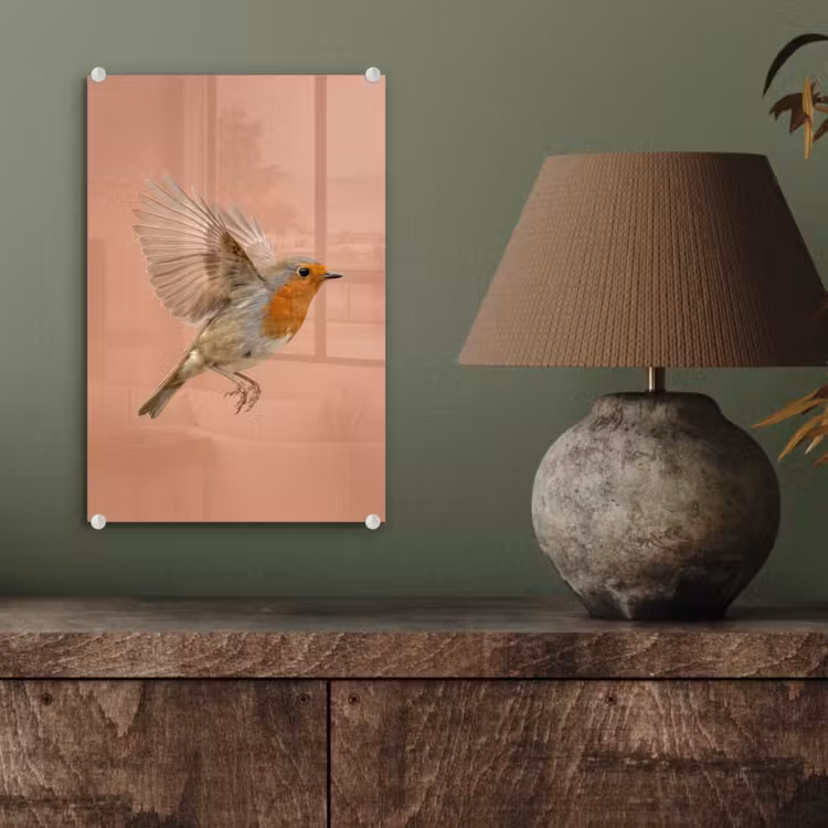 Glas schilderij - Roodborst - Natuur - Roze — 4