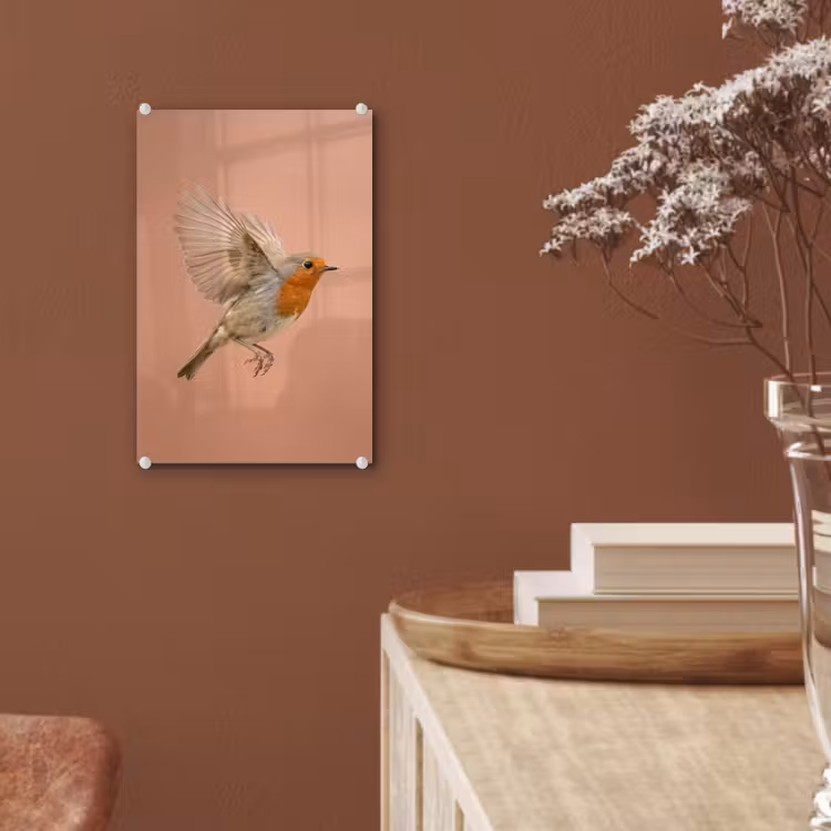 Glas schilderij - Roodborst - Natuur - Roze — 6