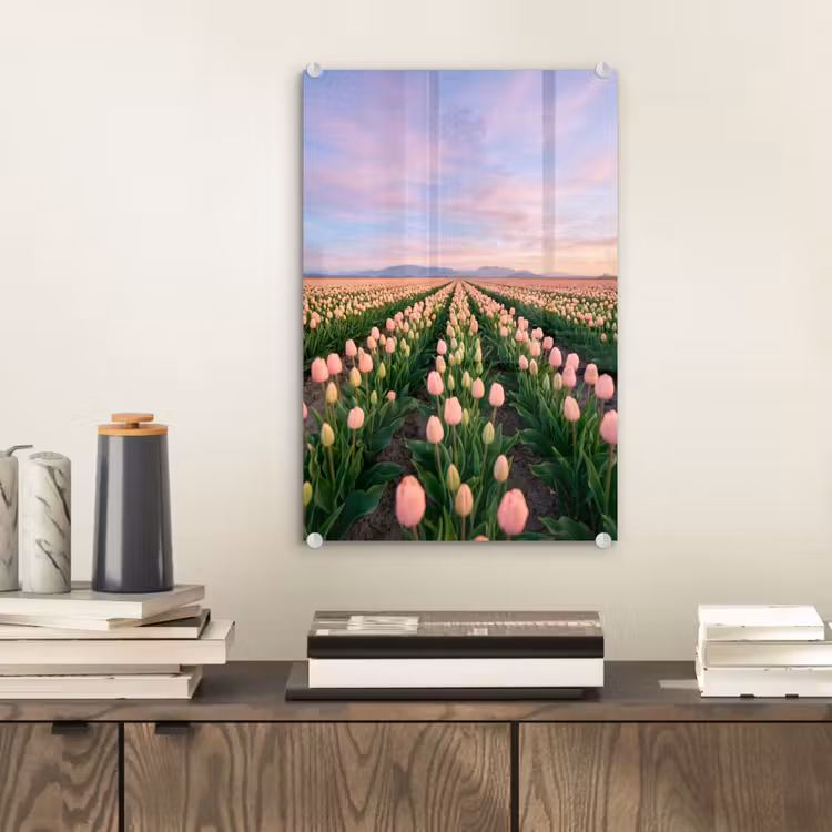Glas schilderij - Tulpen - Landschap - Roze — 2