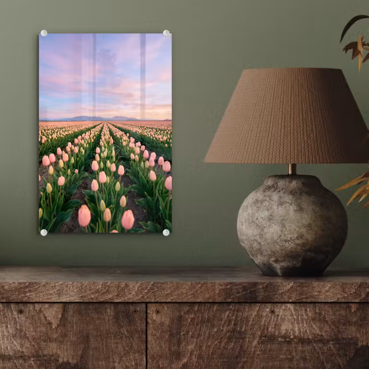 Glas schilderij - Tulpen - Landschap - Roze — 4