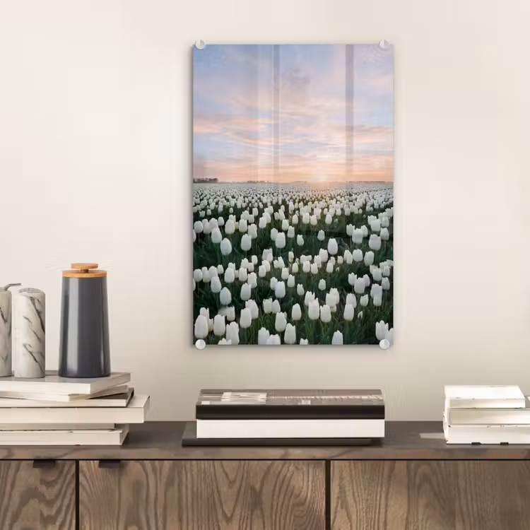 Glas schilderij - Tulpen - Landschap - Wit — 2
