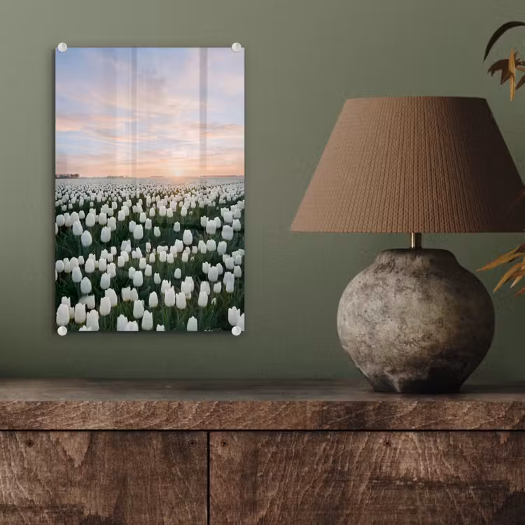 Glas schilderij - Tulpen - Landschap - Wit — 4