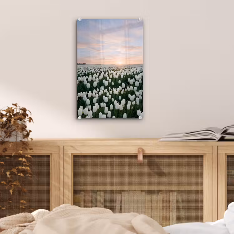 Glas schilderij - Tulpen - Landschap - Wit — 5