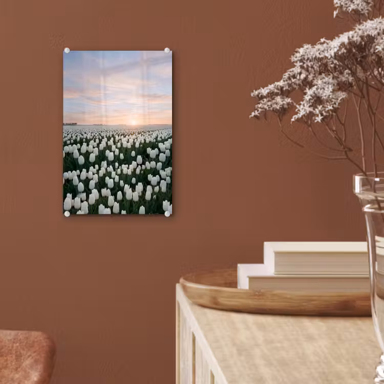 Glas schilderij - Tulpen - Landschap - Wit — 6