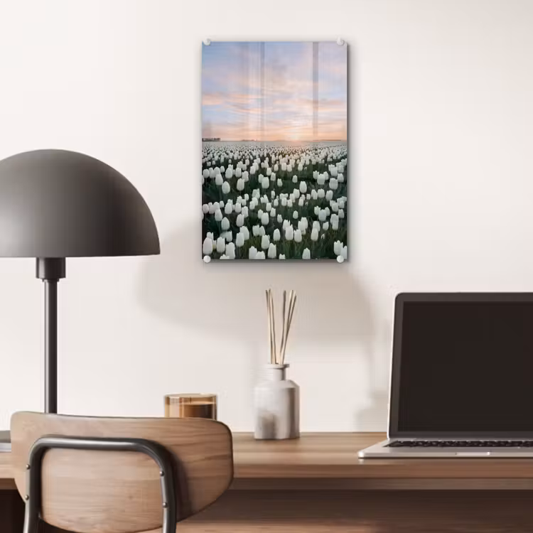 Glas schilderij - Tulpen - Landschap - Wit — 7
