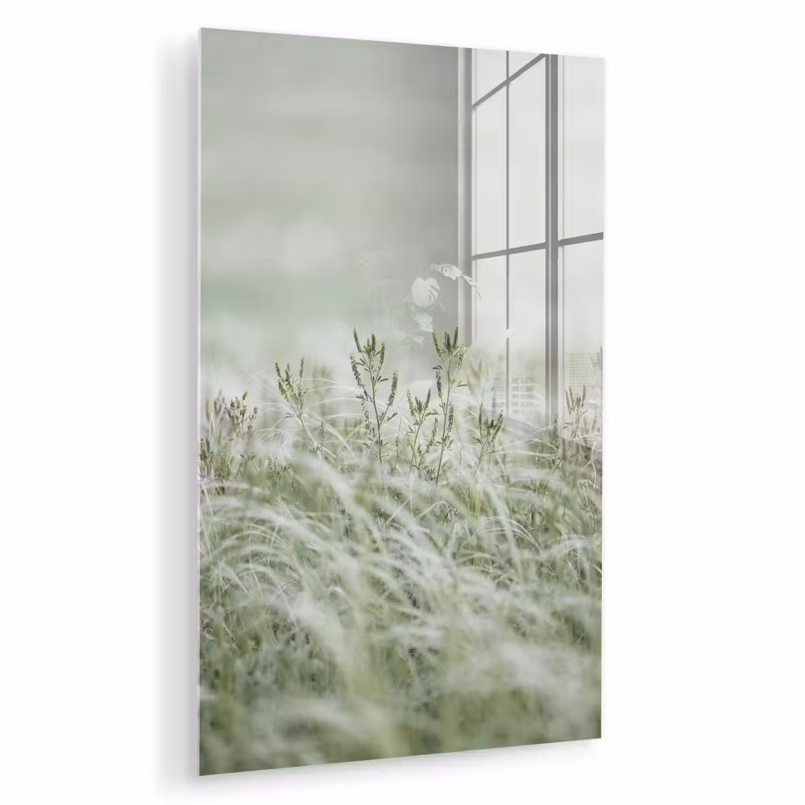 Glas schilderij - Grassen - Minimalistisch - Groen — 1