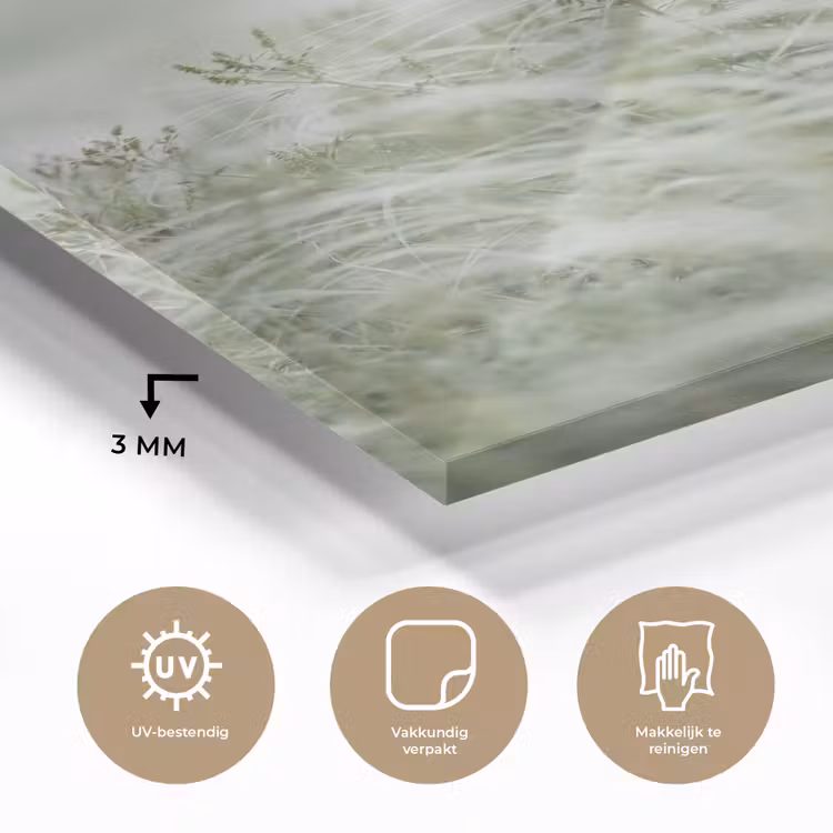Glas schilderij - Grassen - Minimalistisch - Groen — 3