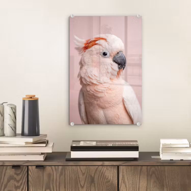 Glas schilderij - Kaketoe - Portret - Roze — 2