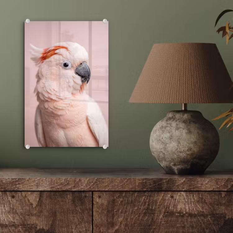Glas schilderij - Kaketoe - Portret - Roze — 4