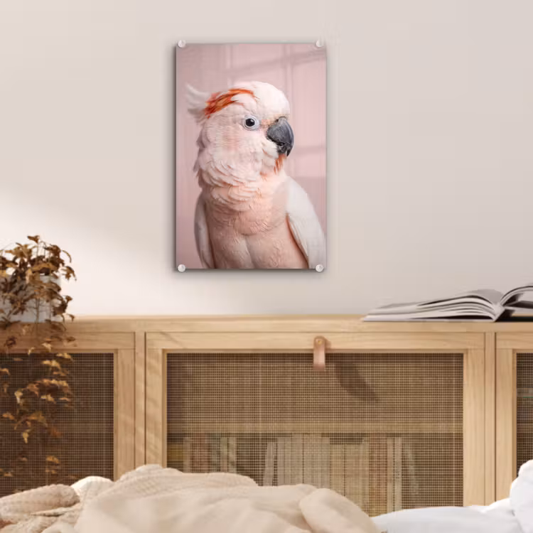 Glas schilderij - Kaketoe - Portret - Roze — 5