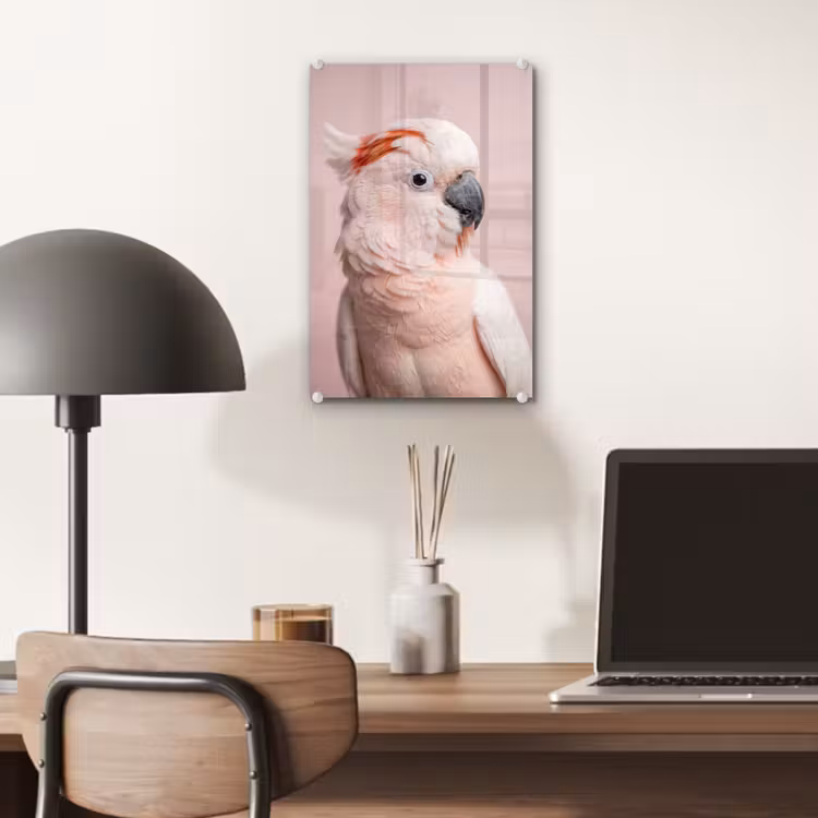 Glas schilderij - Kaketoe - Portret - Roze — 7