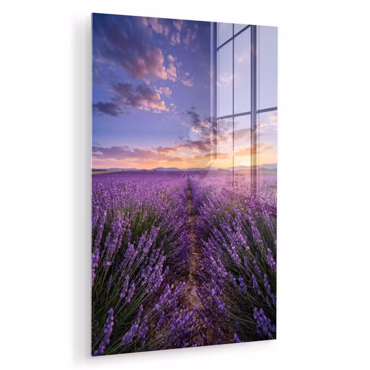 Glas schilderij - Lavendel - Veld - Natuur - Paars — 1