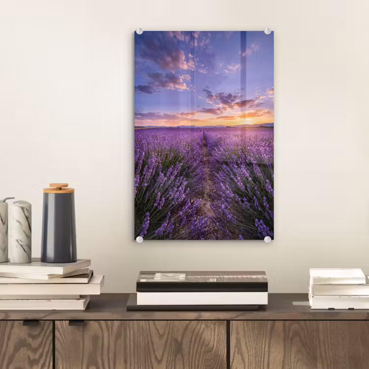 Glas schilderij - Lavendel - Veld - Natuur - Paars — 2