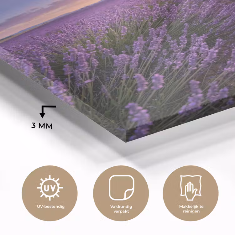 Glas schilderij - Lavendel - Veld - Natuur - Paars — 3