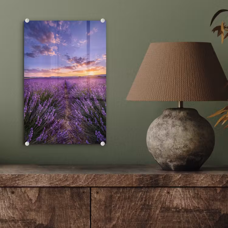 Glas schilderij - Lavendel - Veld - Natuur - Paars — 4