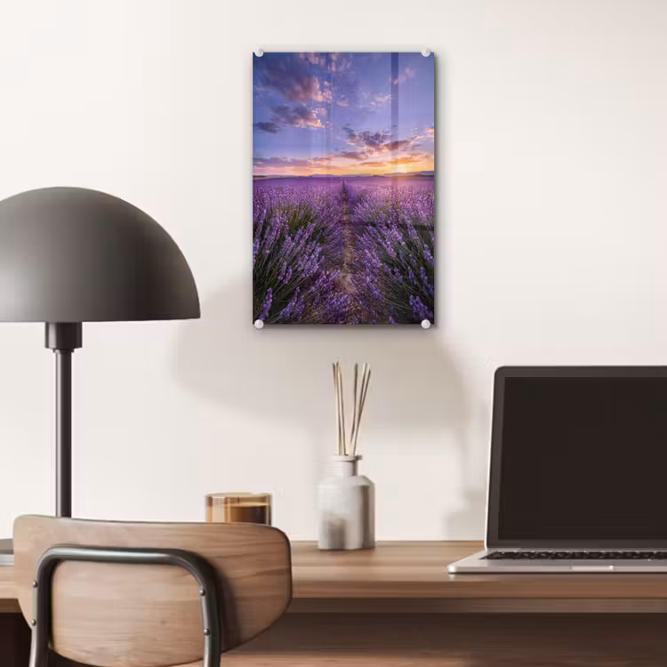 Glas schilderij - Lavendel - Veld - Natuur - Paars — 7