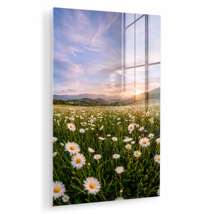 Glas schilderij - Madelief - Veld - Heuvels - Groen — 1