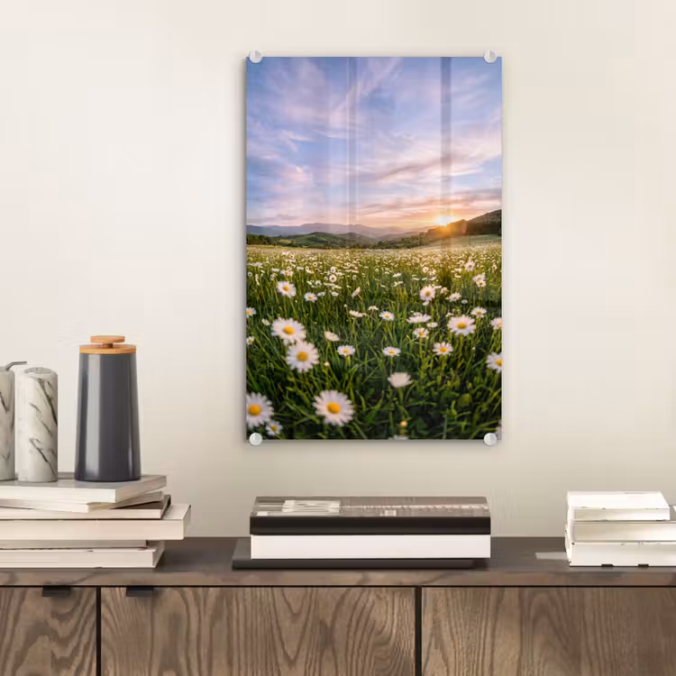 Glas schilderij - Madelief - Veld - Heuvels - Groen — 2