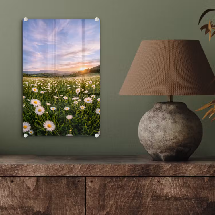 Glas schilderij - Madelief - Veld - Heuvels - Groen — 4