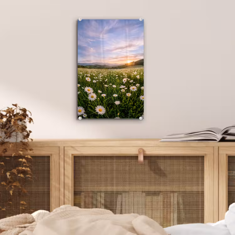 Glas schilderij - Madelief - Veld - Heuvels - Groen — 5