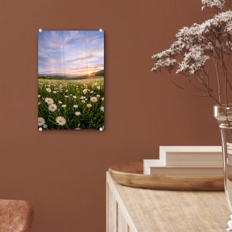 Glas schilderij - Madelief - Veld - Heuvels - Groen — 6