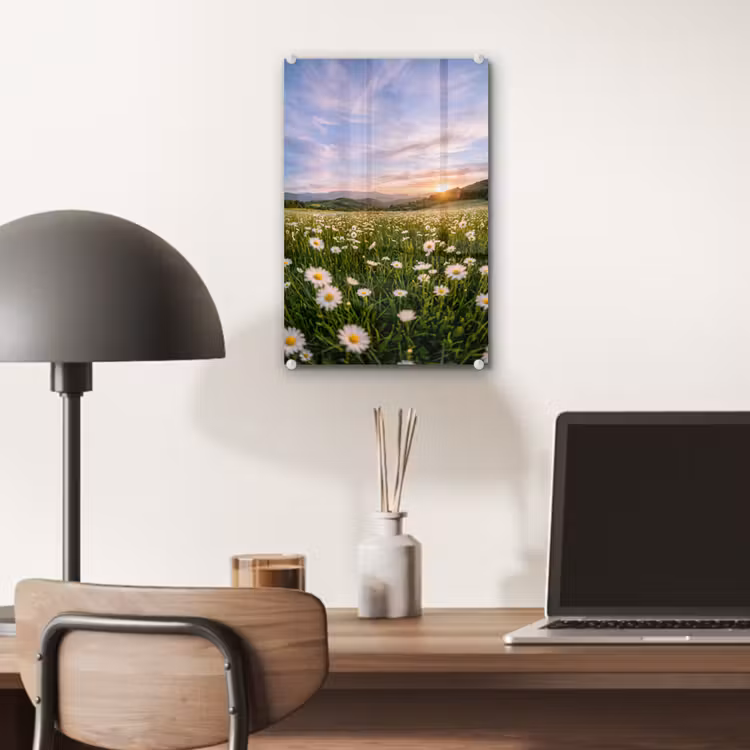 Glas schilderij - Madelief - Veld - Heuvels - Groen — 7