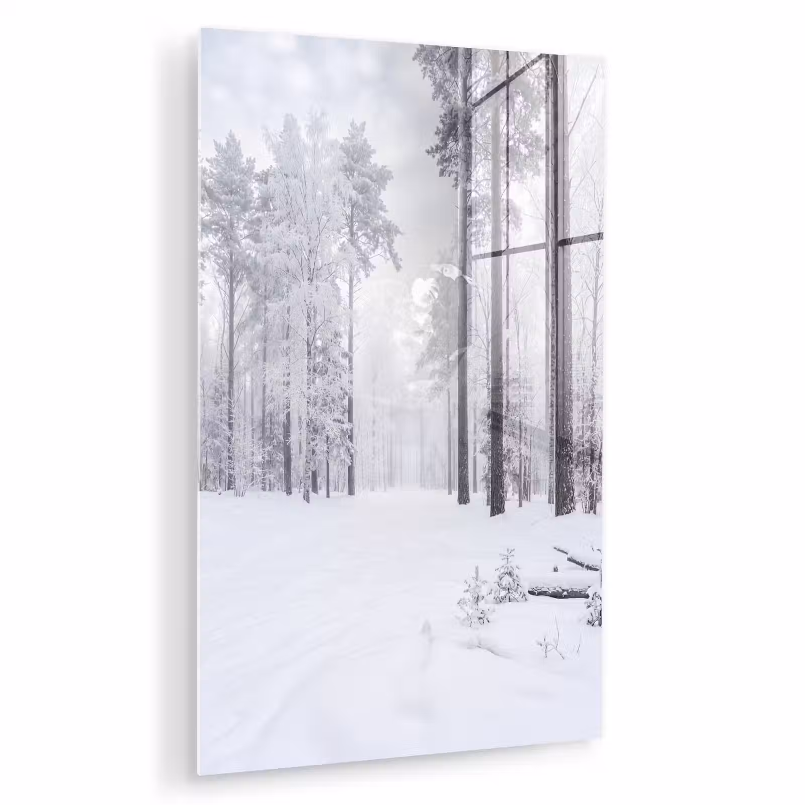 Glas schilderij - Bos - Sneeuw - Pad - Winter - Stilte — 1