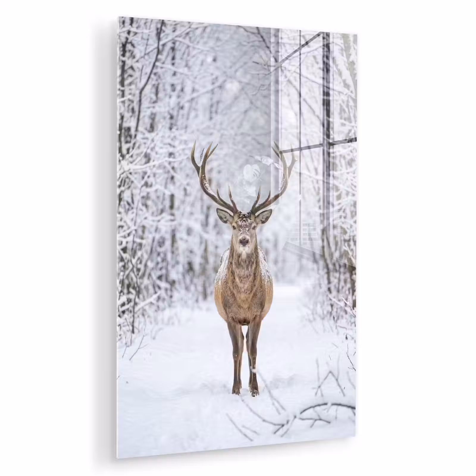 Glas schilderij - Hert - Winter - Bos - Natuur - Wit — 1